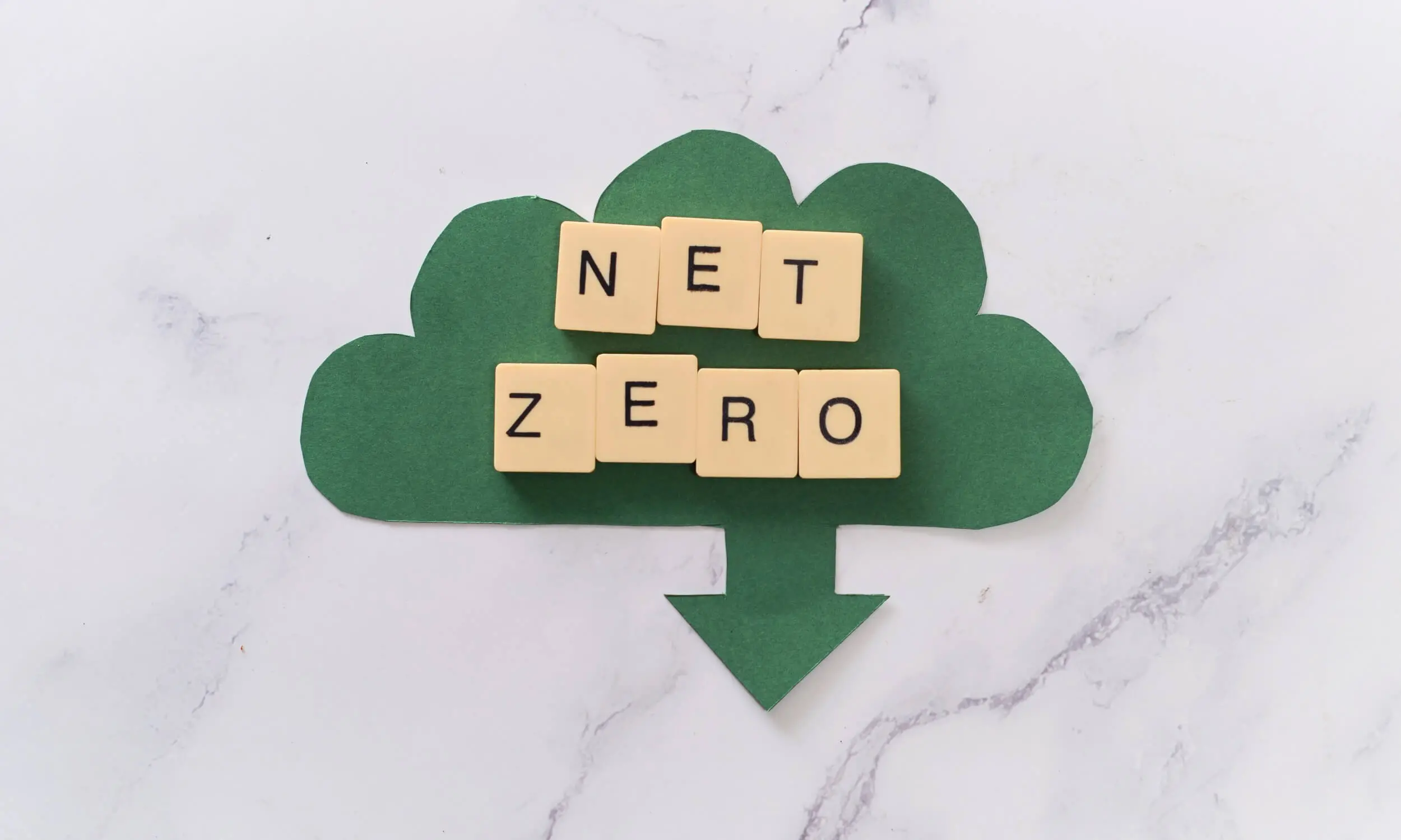 Net Zero, el camino hacia la neutralidad climática real