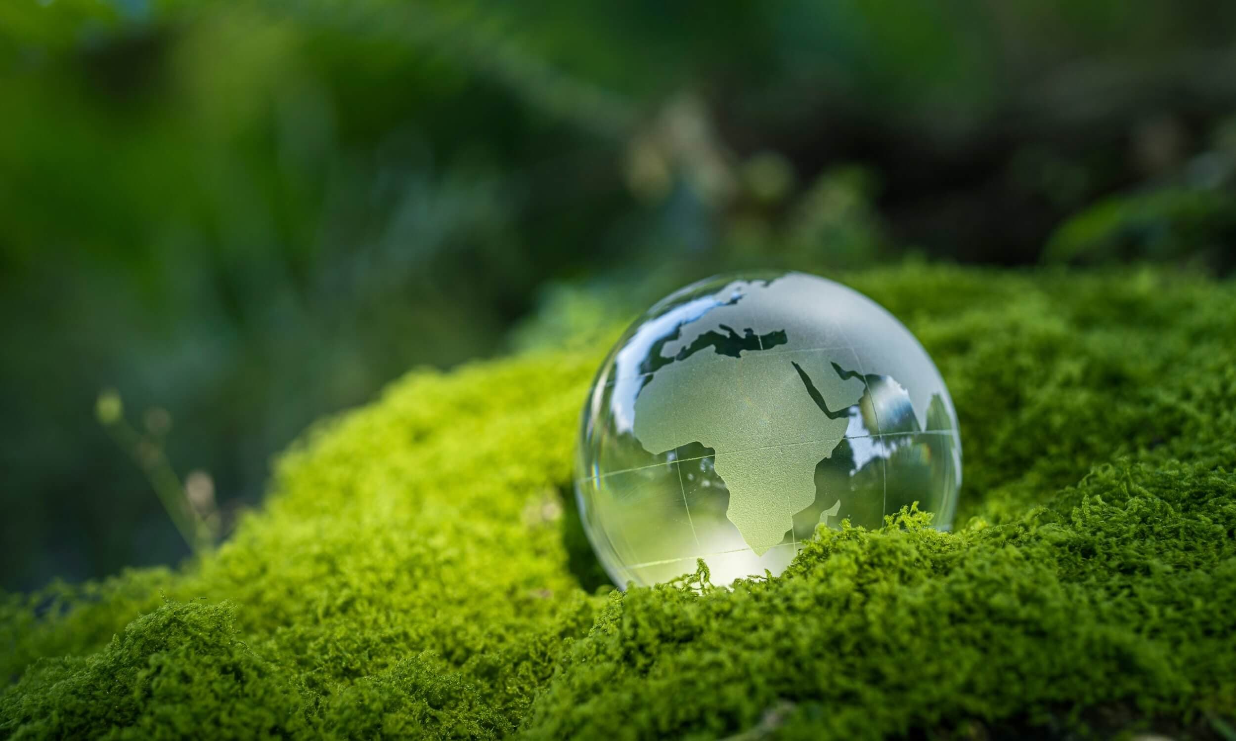 Diferencias entre cero neto y cero absoluto